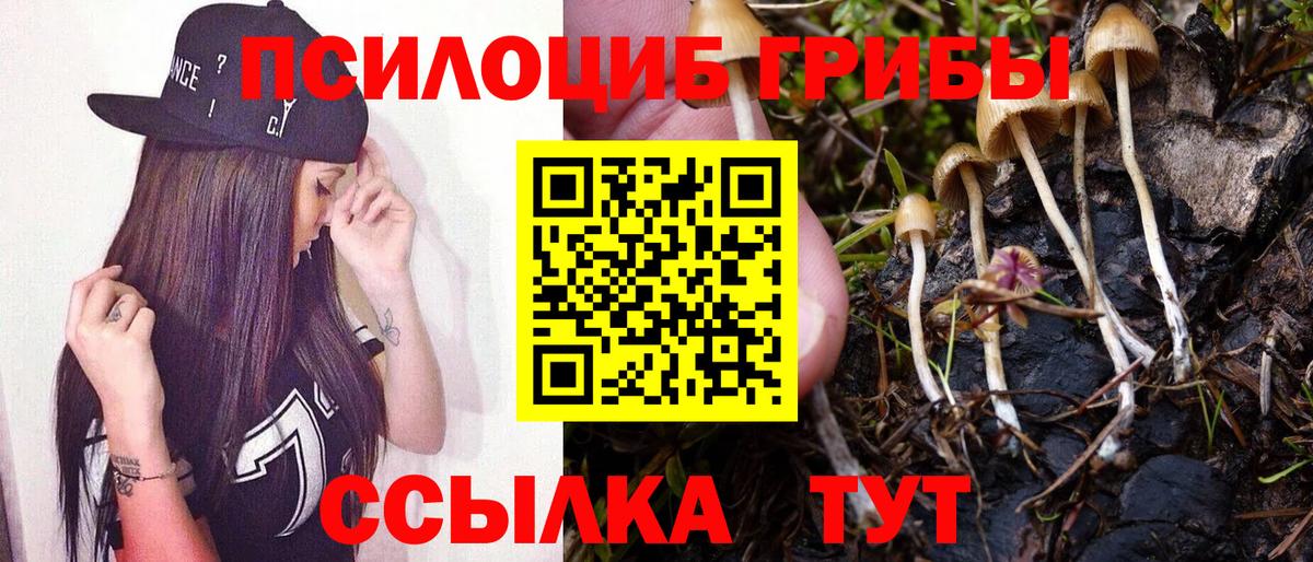 Галлюциногенные грибы Magic Shrooms  Вход с VPN  дарнет шоп  Галлюциногенные грибы MAGIC MUSHROOMS  Тайшет 