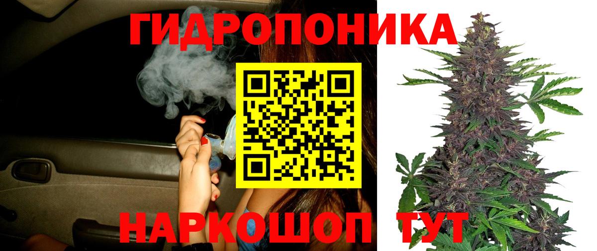 Каннабис конопля Тайшет